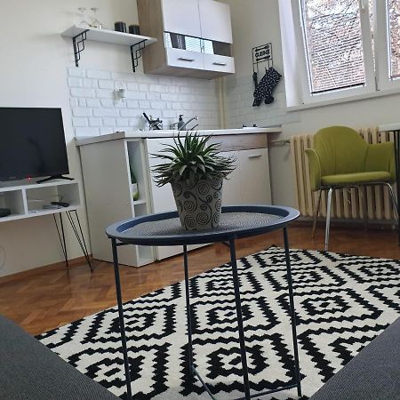 Apartman Park Jagodina-Studio U Centru Grada エクステリア 写真