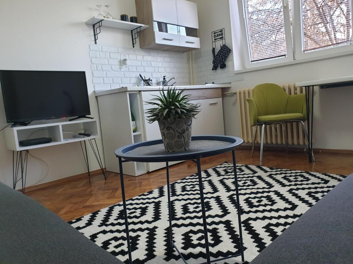 Apartman Park Jagodina-Studio U Centru Grada エクステリア 写真